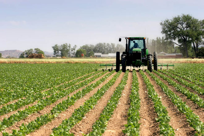 agriculture and tech agriculture and tech